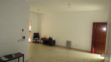 imagem 1 - Apartamento Padrão para Locação no bairro Residencial e Comercial Palmares, em Ribeirão Preto imagem 1 - Apartamento Padrão para Locação no bairro Residencial e Comercial Palmares, em Ribeirão Preto