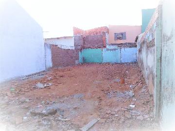 imagem 2 - Terrenos - LoteTerreno imagem 2 - Terrenos - LoteTerreno