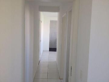 imagem 2 - Apartamentos - Padrão imagem 2 - Apartamentos - Padrão
