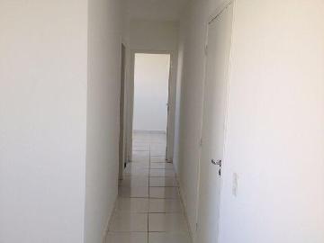 imagem 3 - Apartamentos - Padrão imagem 3 - Apartamentos - Padrão