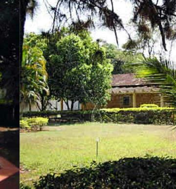 imagem 3 - Chácaras/Imóveis Rurais - RanchoSítio imagem 3 - Chácaras/Imóveis Rurais - RanchoSítio