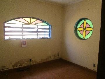 imagem 4 - Casa Térrea para Locação no Bairro Alto da Boa Vista , em Ribeirão Preto imagem 4 - Casa Térrea para Locação no Bairro Alto da Boa Vista , em Ribeirão Preto