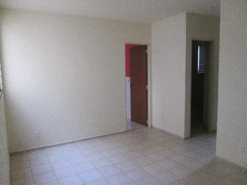 imagem 1 - Apartamentos - Padrão imagem 1 - Apartamentos - Padrão