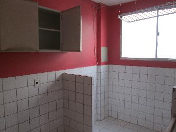 imagem 3 - Apartamentos - Padrão imagem 3 - Apartamentos - Padrão