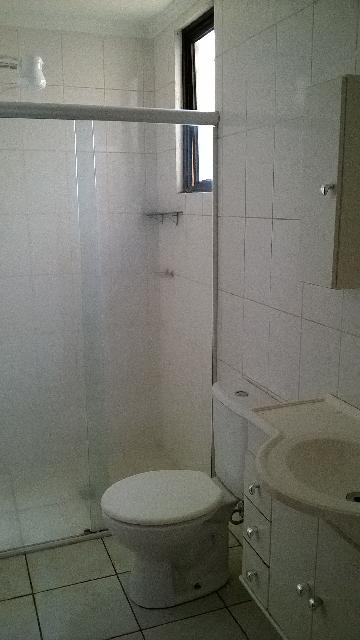 imagem 2 - Apartamentos - Padrão imagem 2 - Apartamentos - Padrão