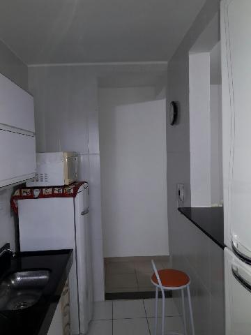 imagem 5 - Apartamentos - Padrão imagem 5 - Apartamentos - Padrão