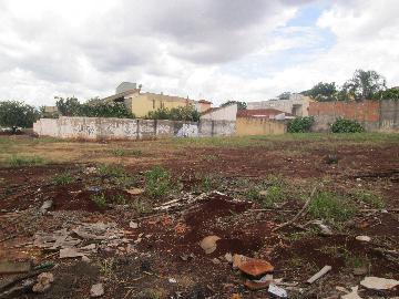 imagem 1 - Terreno térreo para Locação no bairro Jardim Botânico em Ribeirão Preto/SP. imagem 1 - Terreno térreo para Locação no bairro Jardim Botânico em Ribeirão Preto/SP.