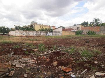 Alugar Terrenos / Lote/Terreno em Ribeirão Preto. apenas R$ 6.000,00