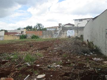 imagem 1 - Terreno térreo para Locação no bairro Jardim Botânico em Ribeirão Preto/SP. imagem 1 - Terreno térreo para Locação no bairro Jardim Botânico em Ribeirão Preto/SP.