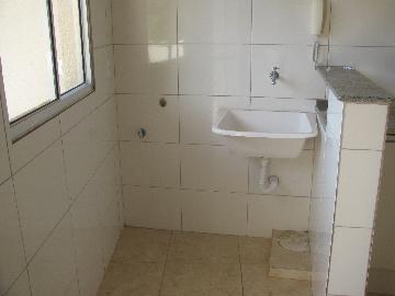 imagem 3 - Apartamentos - Padrão imagem 3 - Apartamentos - Padrão