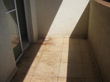 imagem 4 - Apartamentos - Padrão imagem 4 - Apartamentos - Padrão