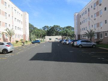 imagem 4 - Apartamentos - Padrão imagem 4 - Apartamentos - Padrão