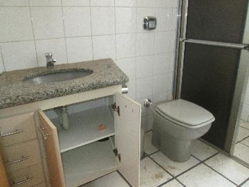 imagem 4 - Apartamentos - Padrão imagem 4 - Apartamentos - Padrão