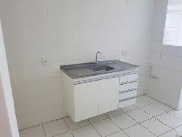 imagem 3 - Apartamentos - Padrão imagem 3 - Apartamentos - Padrão