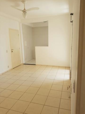 imagem 4 - Apartamentos - Padrão imagem 4 - Apartamentos - Padrão