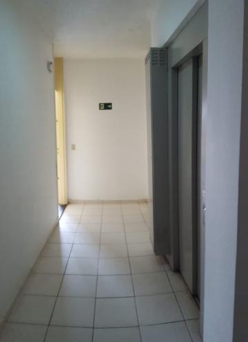 imagem 5 - Apartamento Padrão para Locação e Venda no Bairro Campos Elíseos, em Ribeirão Preto imagem 5 - Apartamento Padrão para Locação e Venda no Bairro Campos Elíseos, em Ribeirão Preto