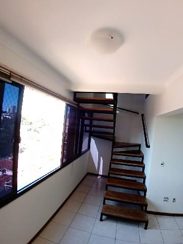 imagem 3 - Apartamentos - Padrão imagem 3 - Apartamentos - Padrão