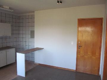 imagem 3 - Apartamentos - Padrão imagem 3 - Apartamentos - Padrão