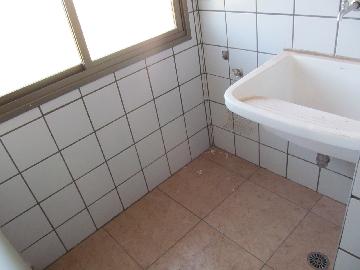 imagem 5 - Apartamentos - Padrão imagem 5 - Apartamentos - Padrão