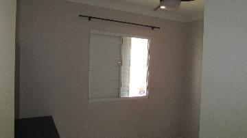 imagem 4 - Apartamentos - Padrão imagem 4 - Apartamentos - Padrão