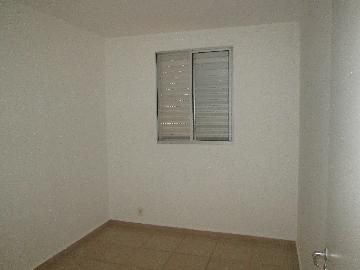 imagem 5 - Apartamentos - Padrão imagem 5 - Apartamentos - Padrão