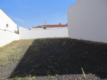 imagem 1 - Terreno para Locação no bairro Parque Residencial Lagoinha, em Ribeirão Preto imagem 1 - Terreno para Locação no bairro Parque Residencial Lagoinha, em Ribeirão Preto