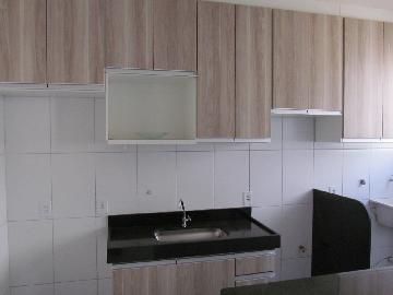 imagem 3 - Apartamentos - Padrão imagem 3 - Apartamentos - Padrão
