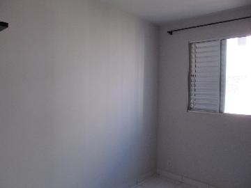 imagem 5 - Apartamentos - Padrão imagem 5 - Apartamentos - Padrão