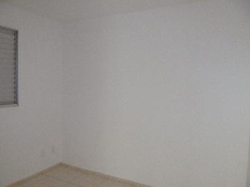 imagem 5 - Apartamentos - Padrão imagem 5 - Apartamentos - Padrão
