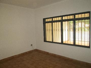 imagem 5 - Casa 4 Dormitórios na Vila Monte Alegre imagem 5 - Casa 4 Dormitórios na Vila Monte Alegre