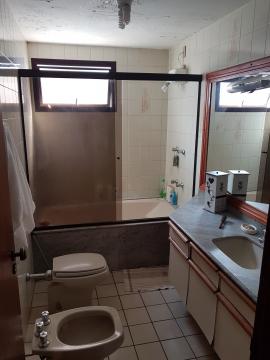 imagem 5 - Apartamentos - Padrão imagem 5 - Apartamentos - Padrão