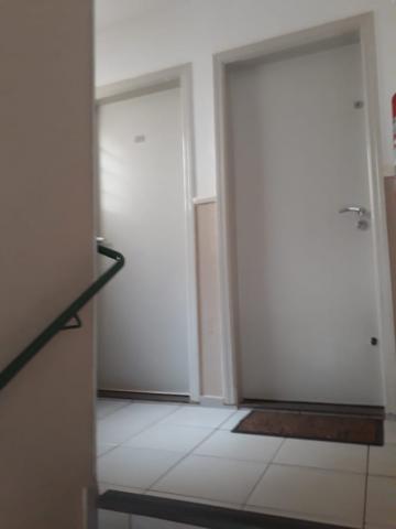 imagem 5 - Apartamentos - Padrão imagem 5 - Apartamentos - Padrão
