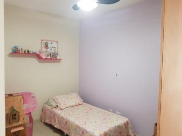 imagem 4 - Apartamentos - Padrão imagem 4 - Apartamentos - Padrão