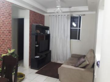 imagem 5 - Apartamentos - Padrão imagem 5 - Apartamentos - Padrão