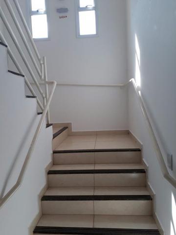 imagem 5 - Apartamentos - Padrão imagem 5 - Apartamentos - Padrão