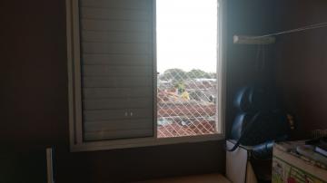 imagem 3 - Apartamentos - Padrão imagem 3 - Apartamentos - Padrão