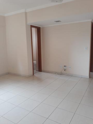 imagem 2 - Apartamentos - Padrão imagem 2 - Apartamentos - Padrão