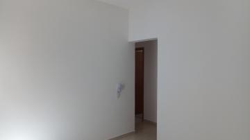 Alugar Apartamentos / Padrão em Ribeirão Preto. apenas R$ 950,00