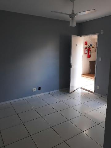 imagem 1 - Apartamentos - Padrão imagem 1 - Apartamentos - Padrão