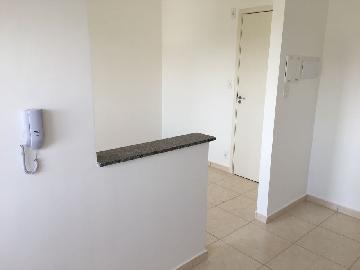 imagem 4 - Apartamentos - Padrão imagem 4 - Apartamentos - Padrão