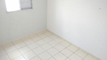 imagem 5 - Apartamentos - Padrão imagem 5 - Apartamentos - Padrão