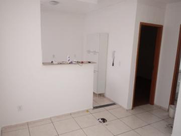 imagem 5 - Apartamentos - Padrão imagem 5 - Apartamentos - Padrão