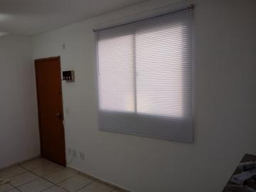 imagem 3 - Apartamentos - Padrão imagem 3 - Apartamentos - Padrão
