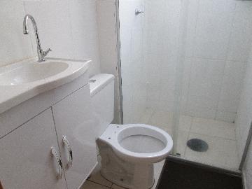 imagem 4 - Apartamentos - Padrão imagem 4 - Apartamentos - Padrão
