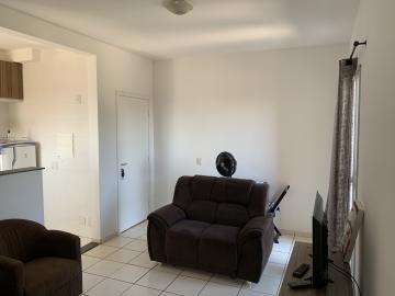 imagem 1 - Apartamento para Venda no Bairro Alto do Ipiranga em Ribeirão Preto/SP. imagem 1 - Apartamento para Venda no Bairro Alto do Ipiranga em Ribeirão Preto/SP.