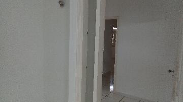 imagem 4 - Casas Residenciais - Padrão imagem 4 - Casas Residenciais - Padrão