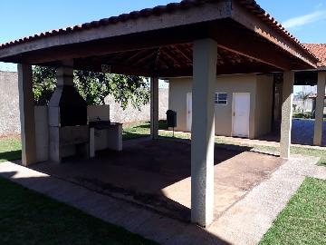 imagem 5 - Apartamentos - Padrão imagem 5 - Apartamentos - Padrão