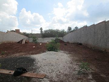 imagem 2 - Terreno Residencial e Comercial para Locação ou Venda no Bairro Jardim Itaú, em Ribeirão Preto imagem 2 - Terreno Residencial e Comercial para Locação ou Venda no Bairro Jardim Itaú, em Ribeirão Preto