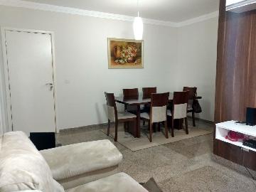 imagem 3 - Apartamentos - Padrão imagem 3 - Apartamentos - Padrão