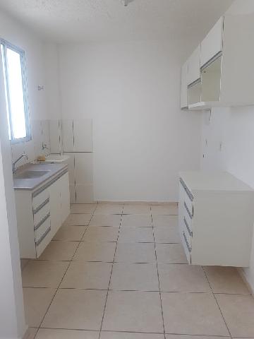 imagem 5 - Apartamentos - Padrão imagem 5 - Apartamentos - Padrão
